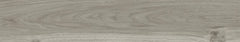 Digital Vitrified Tiles Code Axial Wood Grey (200x1200mm) Matt