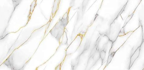 Digital Vitrified Tiles Code Botanic Grey Gold (600x1200 mm) High Glossy