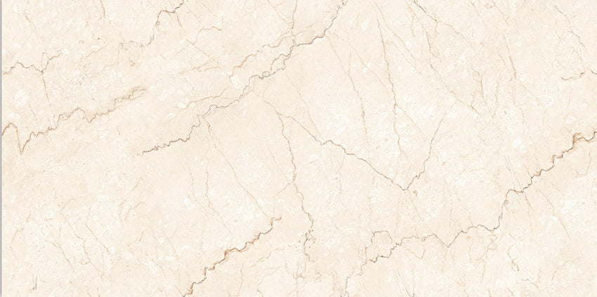 Digital Vitrified Tiles Code Bottochino (600x1200 mm) Glossy Endless