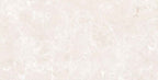 Digital Vitrified Tiles Code Brooklyn Light (600x1200 mm) Glossy Endless