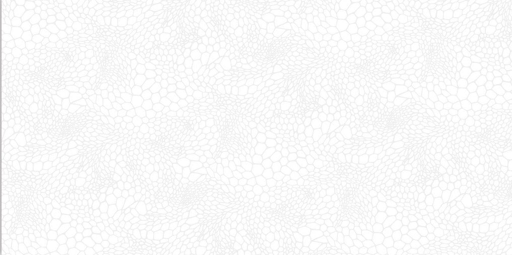 Digital Vitrified Tiles Code Cabretta White (600x1200 mm) Carving Endless