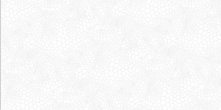 Digital Vitrified Tiles Code Cabretta White (600x1200 mm) Carving Endless