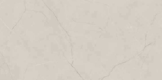 Digital Vitrified Tiles Code Castel Grey (800x1600 mm) Glossy