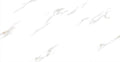 Digital Vitrified Tiles Code Colorex (600x1200 mm) Glossy