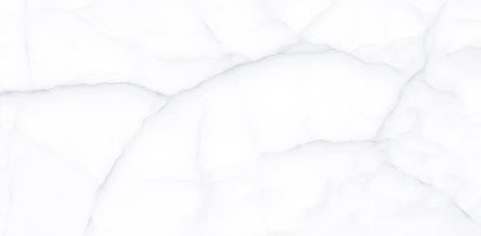 Digital Vitrified Tiles Code Delicato White (600x1200 mm) Glossy
