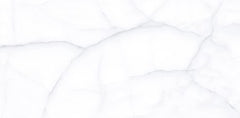 Digital Vitrified Tiles Code Delicato White (600x1200 mm) Glossy