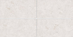 Digital Vitrified Tiles Code Domina White (600x1200 mm) Glossy Endless