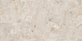 Digital Vitrified Tiles Code Domina Natural (600x1200 mm) Glossy Endless