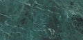 Digital Vitrified Tiles Code Draco Green (600x1200 mm) High Glossy
