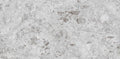 Digital Vitrified Tiles Code Elegant Bianco (600x1200 mm) Glossy