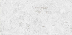Digital Vitrified Tiles Code Elegant White (600x1200 mm) Glossy