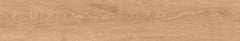 Digital Vitrified Tiles Code Ferrovia Wood Natural (200x1200mm) Matt