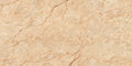Digital Vitrified Carving Tiles Code Florite Camel (600x1200 mm) Carving