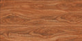 Digital Wooden Tiles Code Fronda Arce Brown (600x1200 mm)