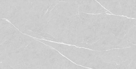 Digital Vitrified Tiles Code Frosty Silver (600x1200 mm) Glossy