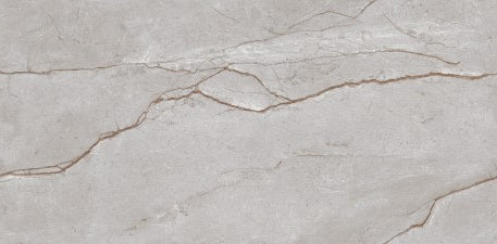 Digital Vitrified Tiles Code Liard Grey (600x1200 mm) Glossy