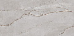 Digital Vitrified Tiles Code Liard Grey (600x1200 mm) Glossy