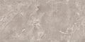Digital Vitrified Tiles Code Lorne Brown (600x1200 mm) Glossy