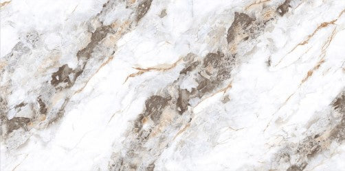 Digital Vitrified Tiles Code Lucio Grey (600x1200 mm) Glossy