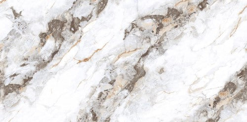 Digital Vitrified Tiles Code Lucio Grey (600x1200 mm) Glossy