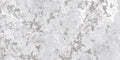 Digital Vitrified Tiles Code 1009-Silver (600x1200 mm) Metallic Endless