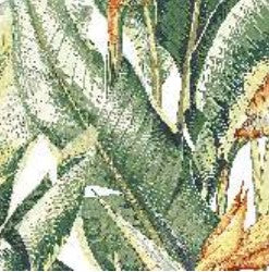 Digital Moroccan Tiles Code Nf-04 (300x300mm)