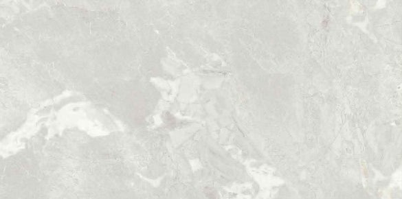 Digital Vitrified Tiles Code Oregon Light (600x1200 mm) Glossy Endless