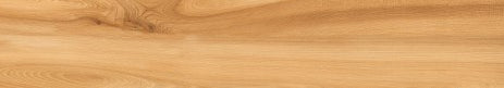 Digital Vitrified Tiles Code Oscar Wood Honey (200x1200mm) Matt