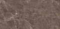 Digital Vitrified Tiles Code Patagonia Choco (600x1200 mm) Glossy Endless