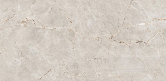 Digital Vitrified Tiles Code Ritzy Grey (600x1200 mm) Glossy Endless