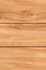 Digital Vitrified Tiles Code Royal Oak (600x1200 mm) Matt