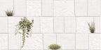 Digital Elevation Tiles Code Tesla Crema (300x600 mm) High Depth