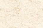 Digital Vitrified Tiles Code Tulip Crema (1200x1800 mm) Glossy