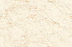 Digital Vitrified Tiles Code Tulip Crema (1200x1800 mm) Glossy