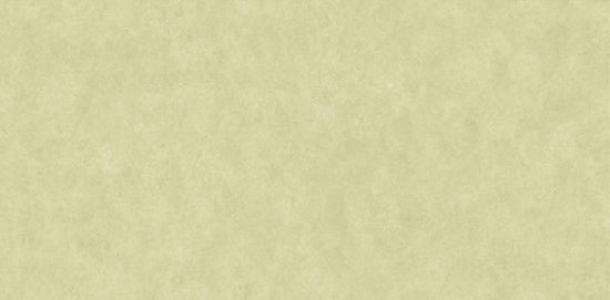 Digital Vitrified Tiles Code Zesty Olive (600x1200 mm) Glossy Endless