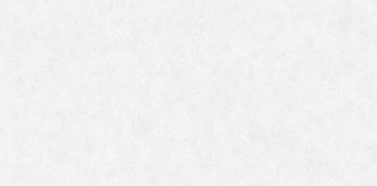 Digital Vitrified Tiles Code Zesty Swiss (600x1200 mm) Glossy Endless